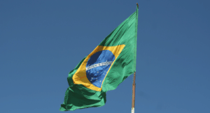brazilian visa for work activities and stay in the country